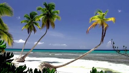 Dale Vander Woude - Amazing Nature Scenery