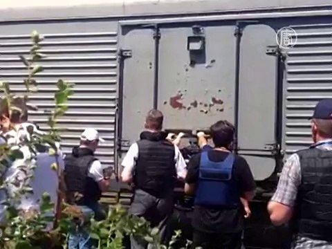 ОБСЕ пустили к месту крушения Боинга в Украине