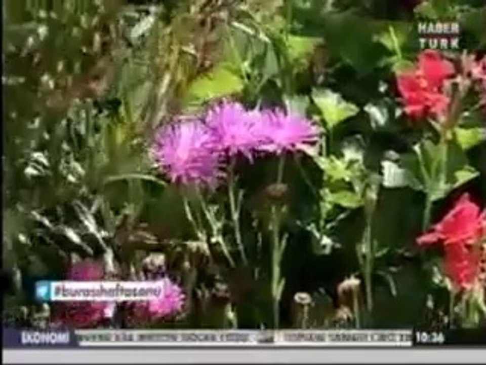Ali Rıza DEMİRCAN - Burası Haftasonu - Haber Türk - 12 TEMMUZ 2014