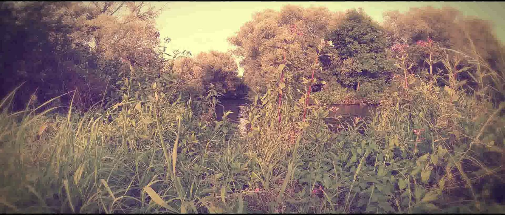 Halb so wild, DOROTHEA BIEDERMANN