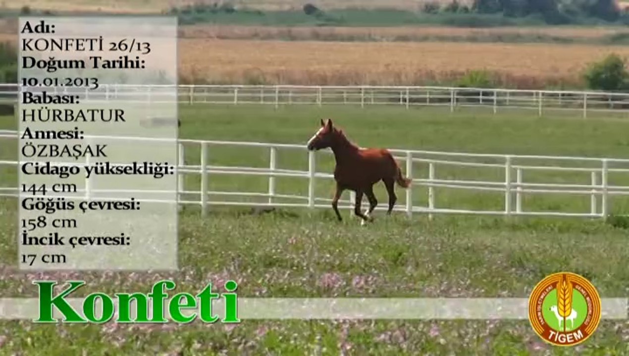 KONFETİ