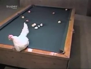 Funny Videos - Fail Compilation, Funny Pranks and Funny Cats Videos _ New Funny Video(42)