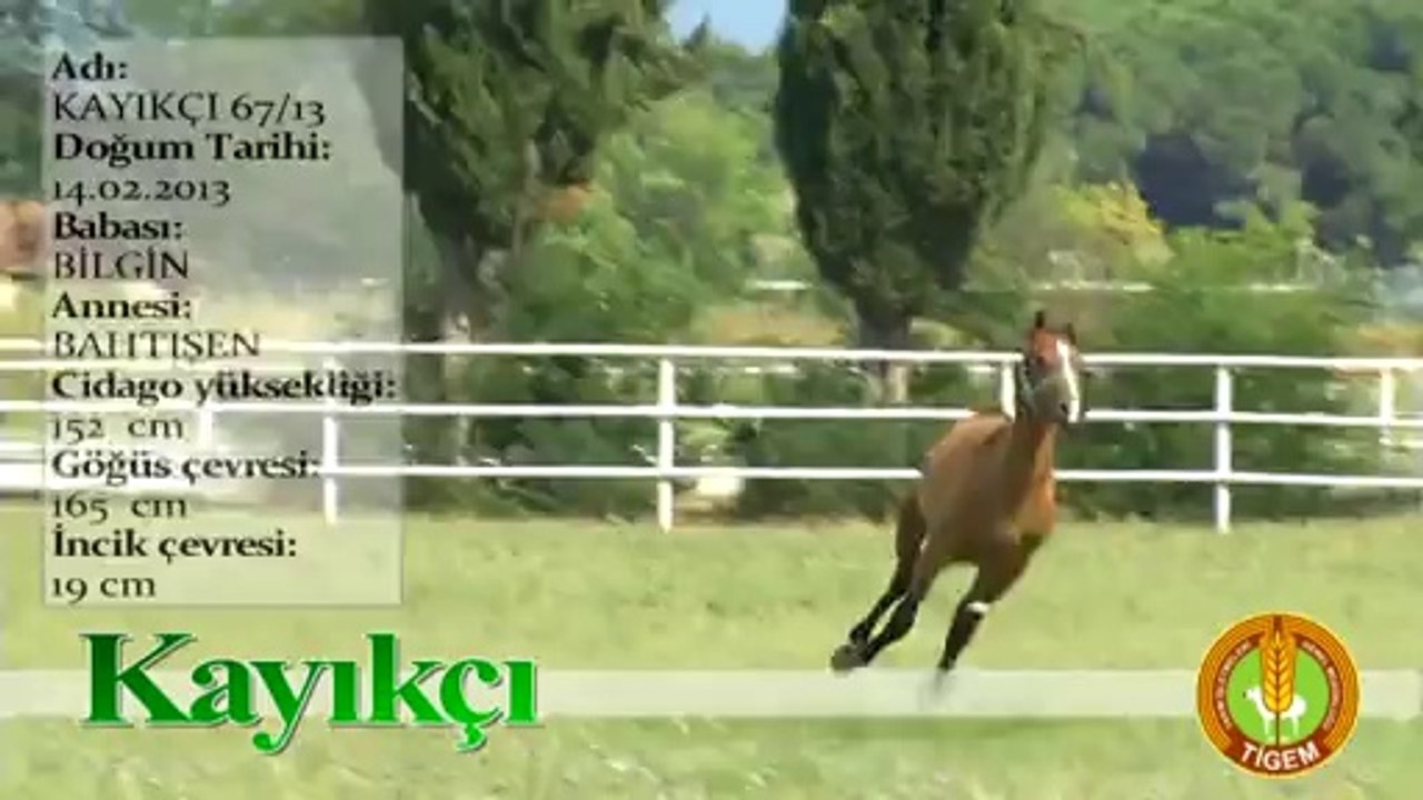 KAYIKÇI