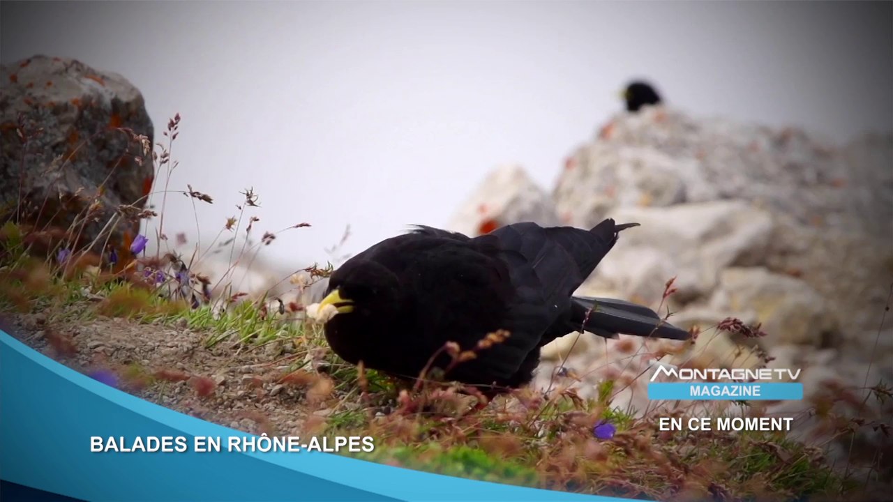 Haute Savoie - Balades en Rhône Alpes - Bande A...