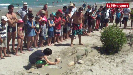 Plougasnou (29). Les billes de Primel