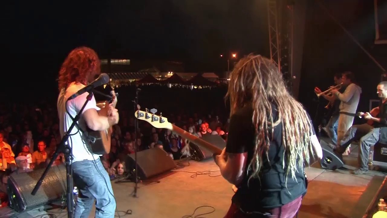 Les Heures Vagabondes 2014 : Zoufris Maracas à Verrières (86)