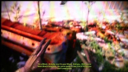 Destiny - PS4 Beta on PS VITA via Remote Play