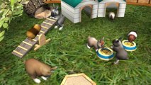 CGR Undertow - ME AND MY PETS 3D review for Nintendo 3DS