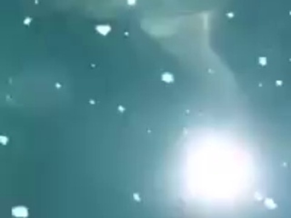 Sharks Gather for Feeding Frenzy