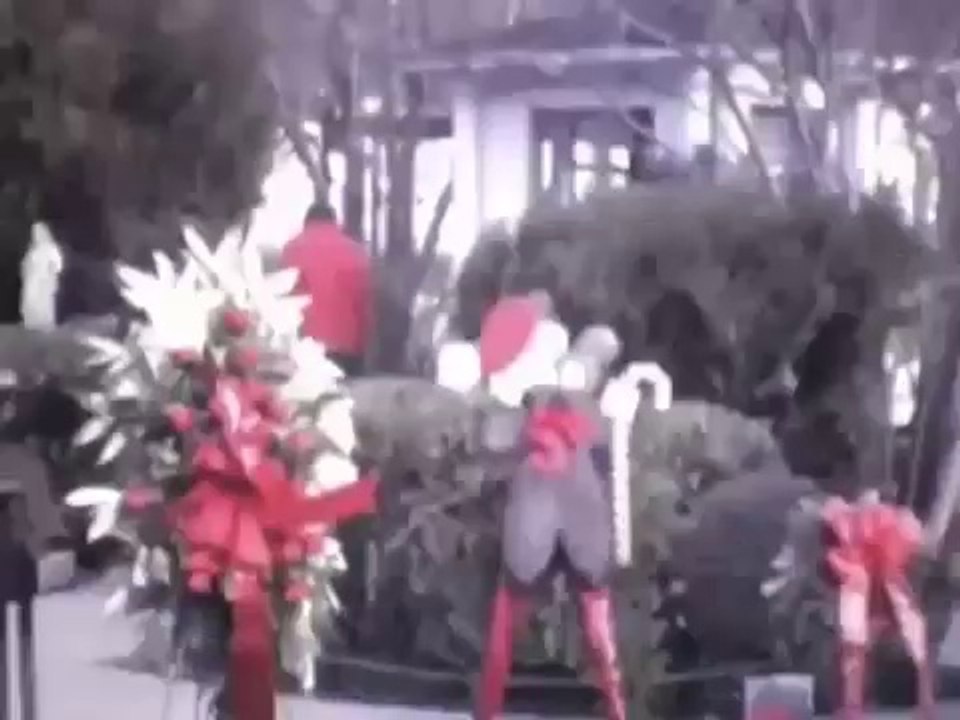 Walking in Graceland Dec 1981 RareElvisPresley.com