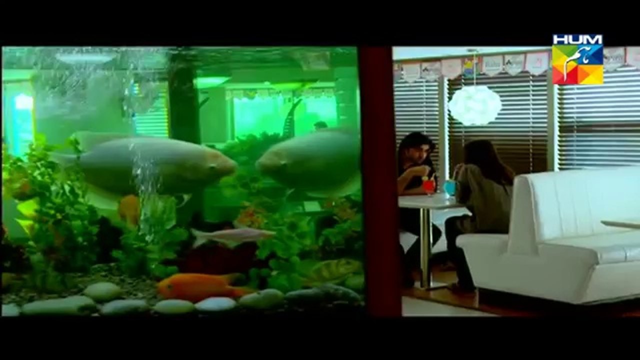 Mere Mehrban  Episode 13 HUM TV Drama Full Episode