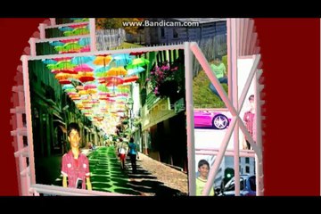 Boss Boss Remax Song 🎵