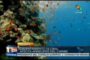 Arrecifes de coral en el Caribe podrían desaparacer, alerta ONU