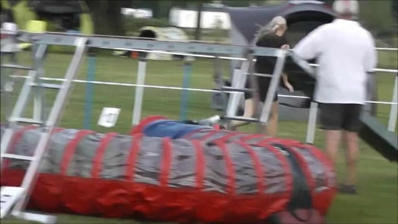 Sarah et Beat Concours agility Ingwiller 19/07/2014