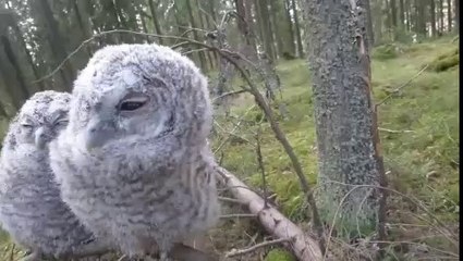 Denk je dat ik slaap