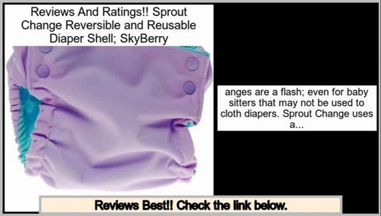 Efficient Sprout Change Reversible and Reusable Diaper Shell; SkyBerry