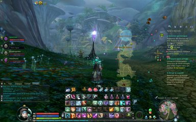 Aion - Birds songs / sounds