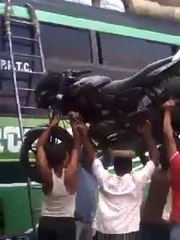 Qual é a parte do corpo mais forte?