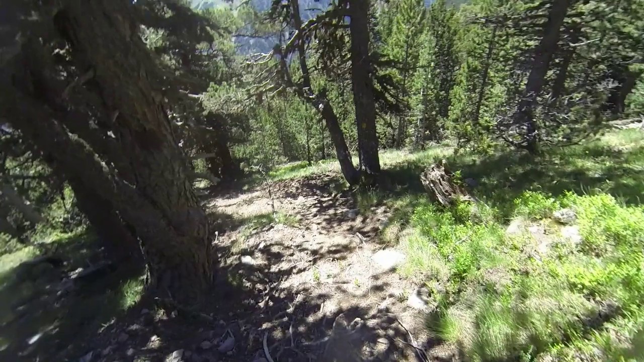 Ronda Dels Cims 2014