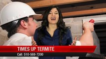 Times Up Termite San Leandro Superb 5 Star Review by Carol S