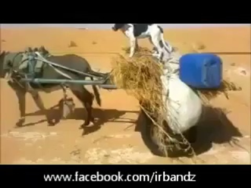 Did it happen in Pakistan