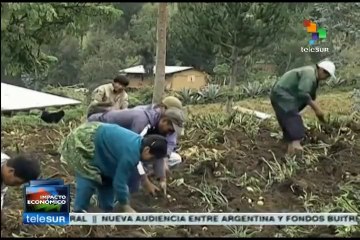 Perú estima que su economía crecerá 6% en 2015