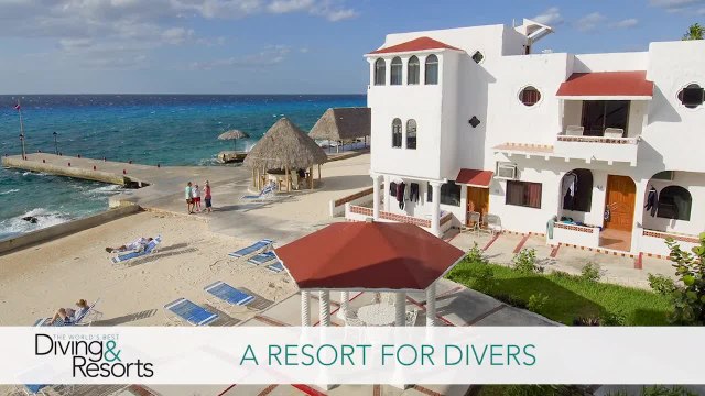 World's Best Diving & Resorts: Scuba Club Cozumel 2014