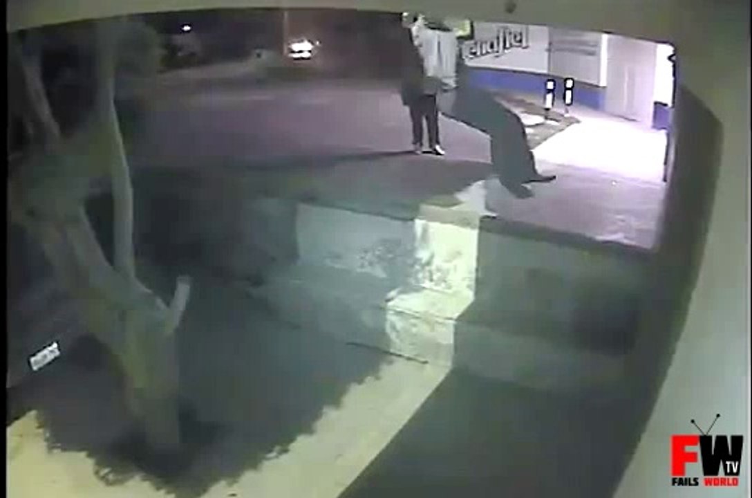 Dog Thief Owned