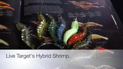 Highlights from Day One of the 2014 ICAST Show