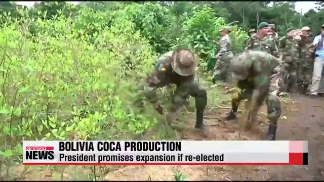 Bolivian president promises coca expansion if re-elected