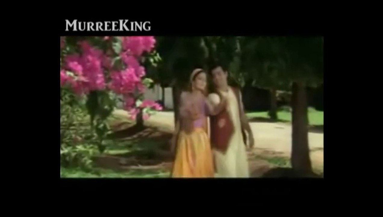 Dil Pe Hai Tere Naam - Udit Narayan, Kavita - Pyar Ka Rog (1994)