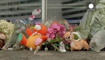 MH17 kurbanları için Hollanda'da sessiz yürüyüş