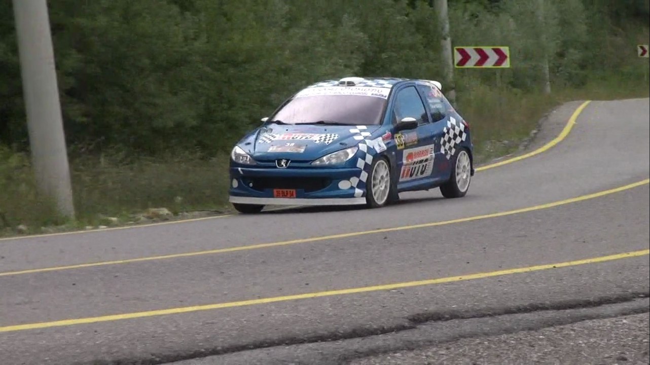2014 Kartepe Tırmanma / Tansel Karasu / Peugeot 206 RC