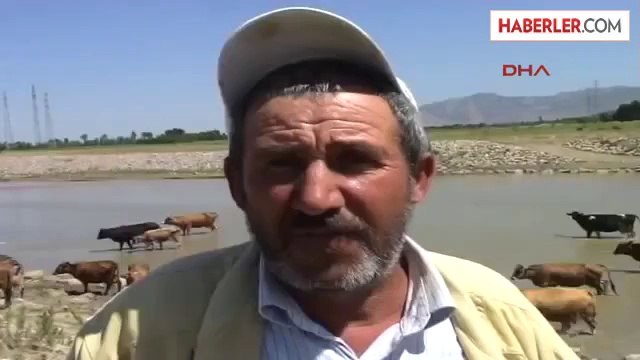 Muş Merkeze Bağlı Sütlüce Köyünde Çobanlık Yapan Evli ve 6 Çocuk Babası Hüsnü Kaya, Sıcaktan...