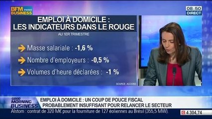 Delphine Liou: Emploi à domicile: un coup de pouce fiscal limité pour relancer le secteur  - 22/07
