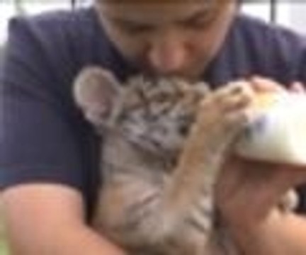 Hayvanat bahçesinin yeni gözdesi