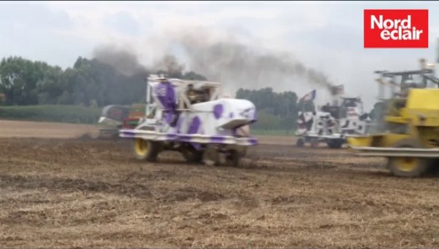 Bousbecque: les agriculteurs du canton de Tourcoing ont un grain de folie