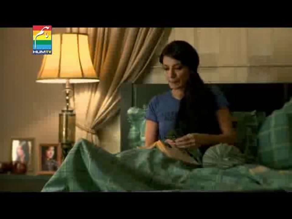 Humsafar Ep19