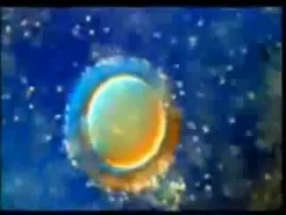 Reality Quran Convert to Islam After This Video - ADEEL FAZIL