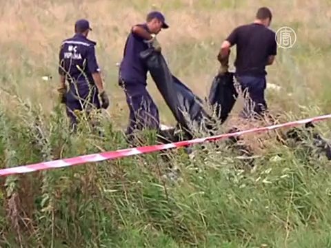 Боевики ДНР передали чёрные ящики Малайзии