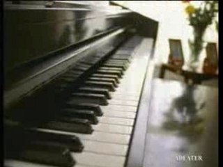 L'ours qui fait la pub pour Swiffer