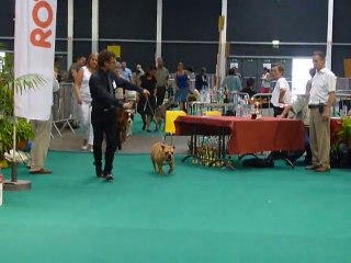 petit tour de Mystic sur le Ring d'Honneur à Liège 19/07/14