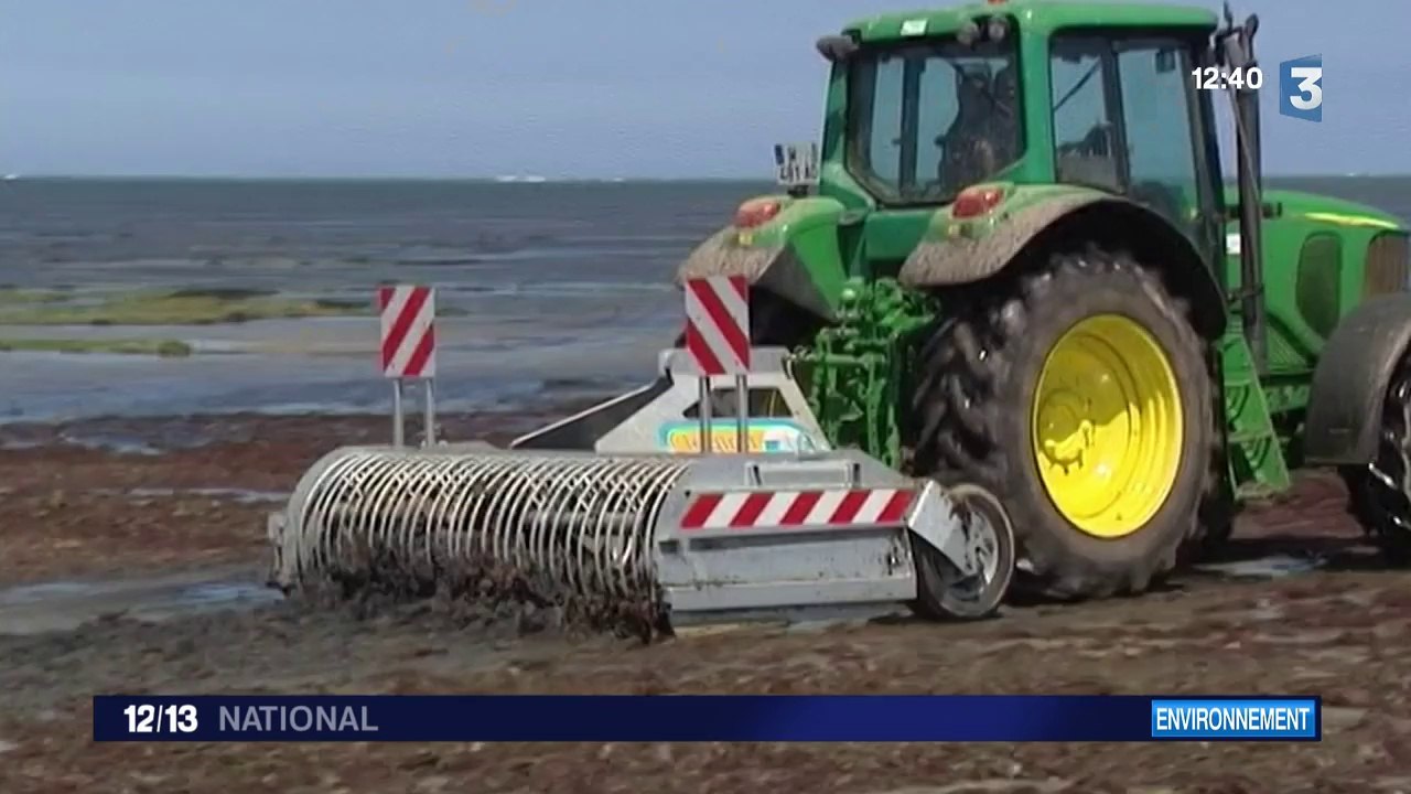 Algues vertes : après la Bretagne, la Basse-Normandie de plus en plus touchée