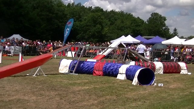 Les Sorinières 2014 VIVI VICE CHAMPIONNE DU GPF M3