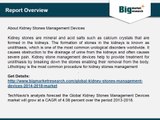 Global Kidney Stones Management Devices Market 2014-2018