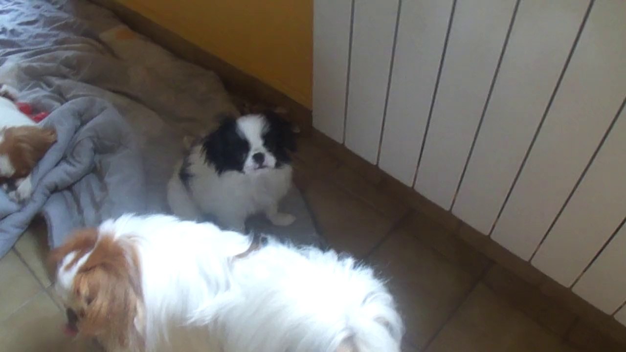 M4H04969Mon papa Cooli et moi!