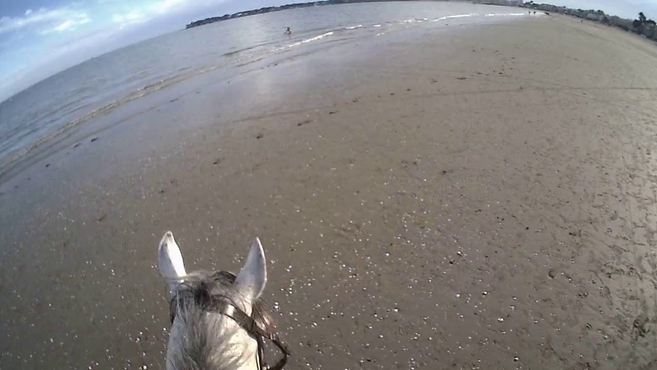 Playa