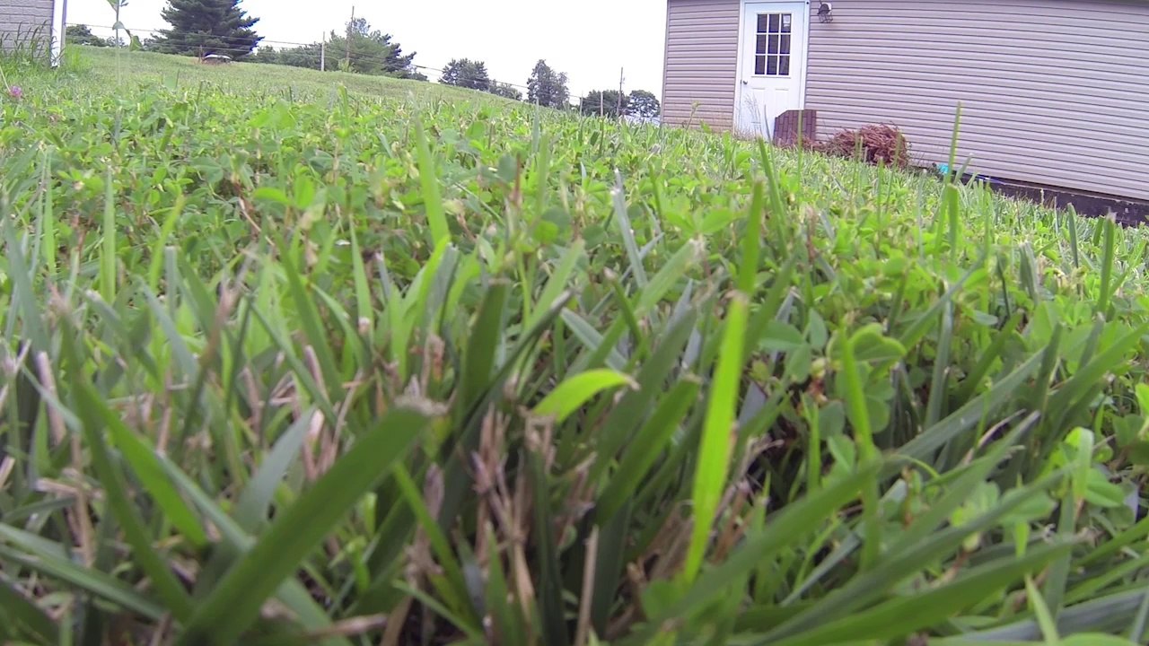 GPS, TVout and Crashing Hexacopters, oh my - Let's Make It #66 - Tech-Zen.tv - Alixa.tv