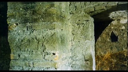 L'Assassino ha le Mani Pulite - Omicidio per Vocazione (Trailer Italiano)