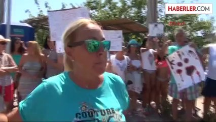 Bodrum'da Köpeklerin Zehirlenmesine Tepki